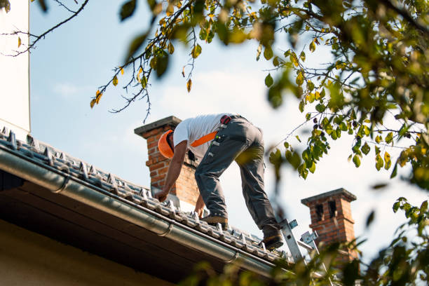 Roof Insulation in Valdosta, GA